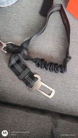 Alexandre review photo