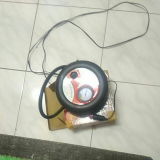 Vikas review photo