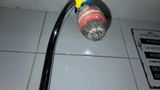 Nitin Goswami review photo