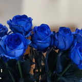 Nitin review photo