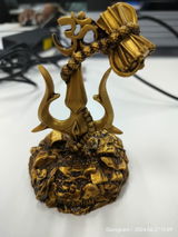Praveen Goyal review photo