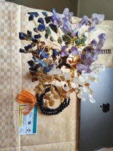 Lokesh review photo