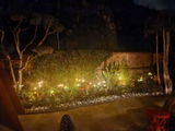Nitin Singh review photo
