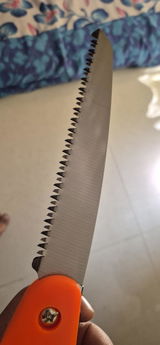 Sushil review photo