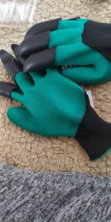 Anand review photo
