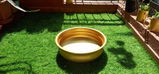 Lokesh review photo