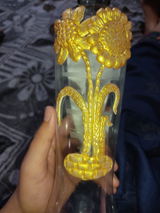 Gaurav review photo