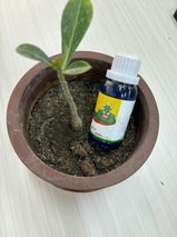 Hardeep Singh review photo