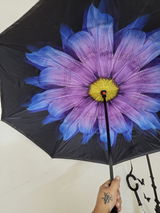 Trisha Sen review photo