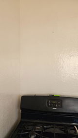 Puneet review photo