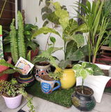 Vidisha review photo