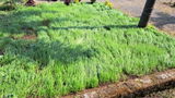 Karun Iyer review photo