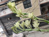 Vidisha review photo