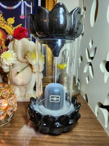 Kamal Chachara review photo