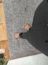 Shubh Mishra review photo