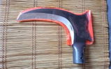 Shivani review photo