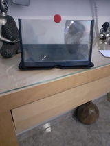 Zeenat review photo