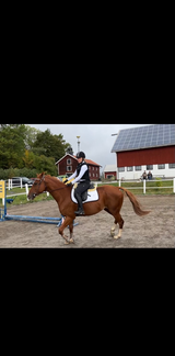 Joanna Berent review photo