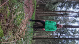 Diederik Wierenga review photo