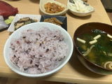 ぽんぽこ review photo
