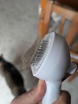A. Nardi review photo