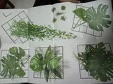 Rida review photo