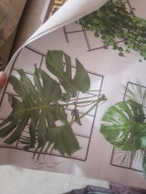 Hiba review photo