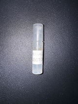 alessandrofalsetti98@gmail.com review photo