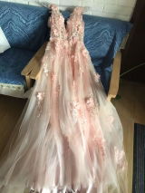 Zara Wilcox review photo