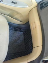 reni review photo