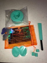 Taylor review photo