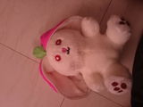 Yash Pandey review photo