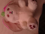 Yash Pandey review photo