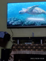 Nitin Bhatnagar review photo