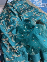 Sowmya Kiran review photo