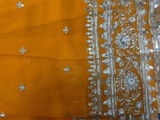 sakshi review photo