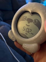The Smart Dog review photo