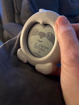 The Smart Dog review photo