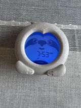 The Smart Dog review photo