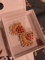 Shahzad Ahmad review photo