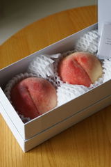 たくみ review photo