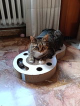 Mari review photo