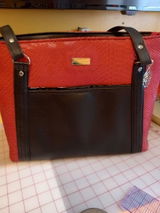 Gina review photo