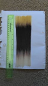 Felipe review photo