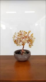 Scarlett review photo