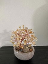 Yara review photo