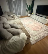 Kim Koot review photo