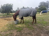 Kylie Felton review photo