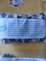 Jessica A Szebin review photo