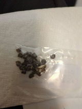 Diedra Mott review photo